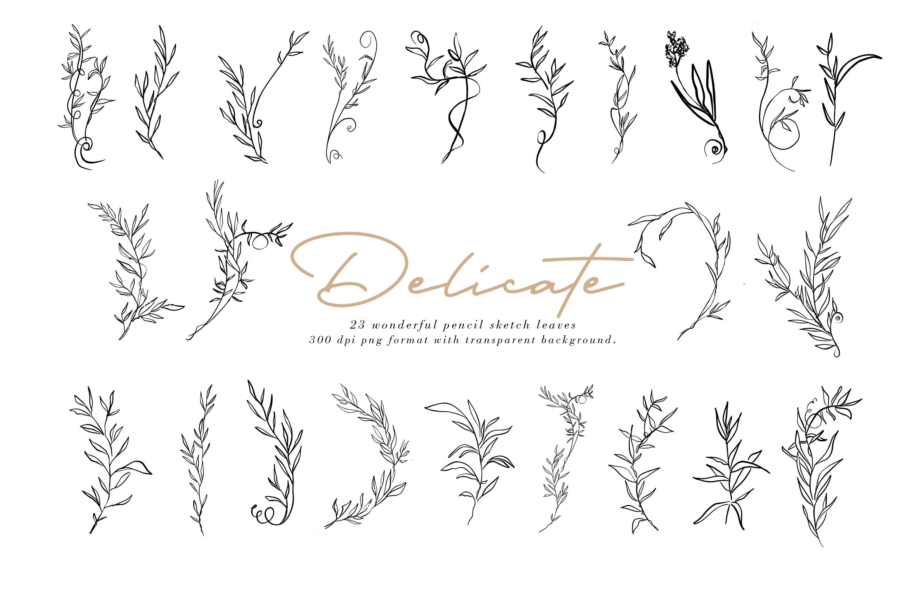 Delicate Line Art - Design Cuts