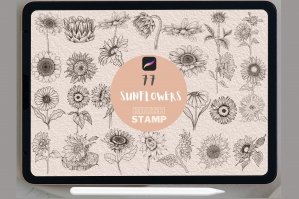77 Sunflowers Procreate Stamps