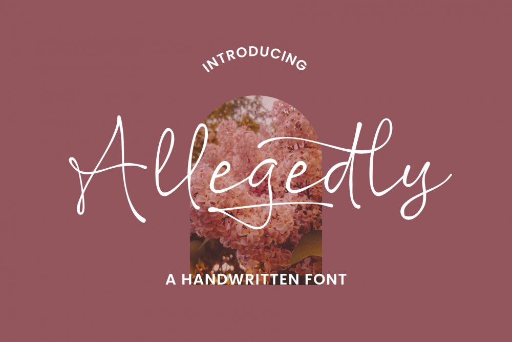 Allegedly - A Handwritten Font - Design Cuts