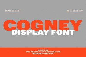 Cogney Sans Serif Display Font