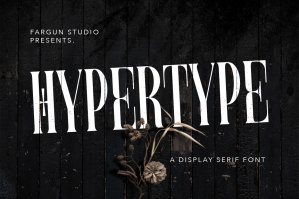 Hypertype Display Serif Font