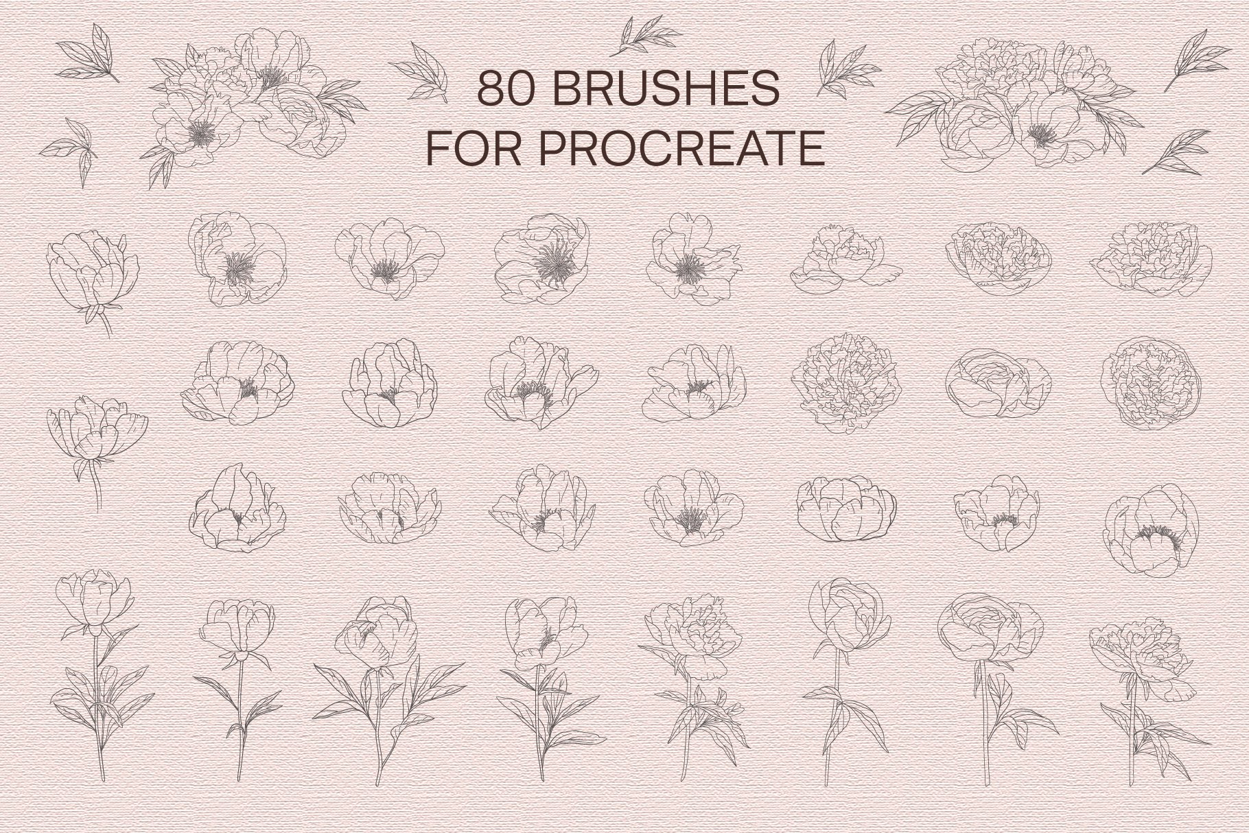 peony brush procreate free