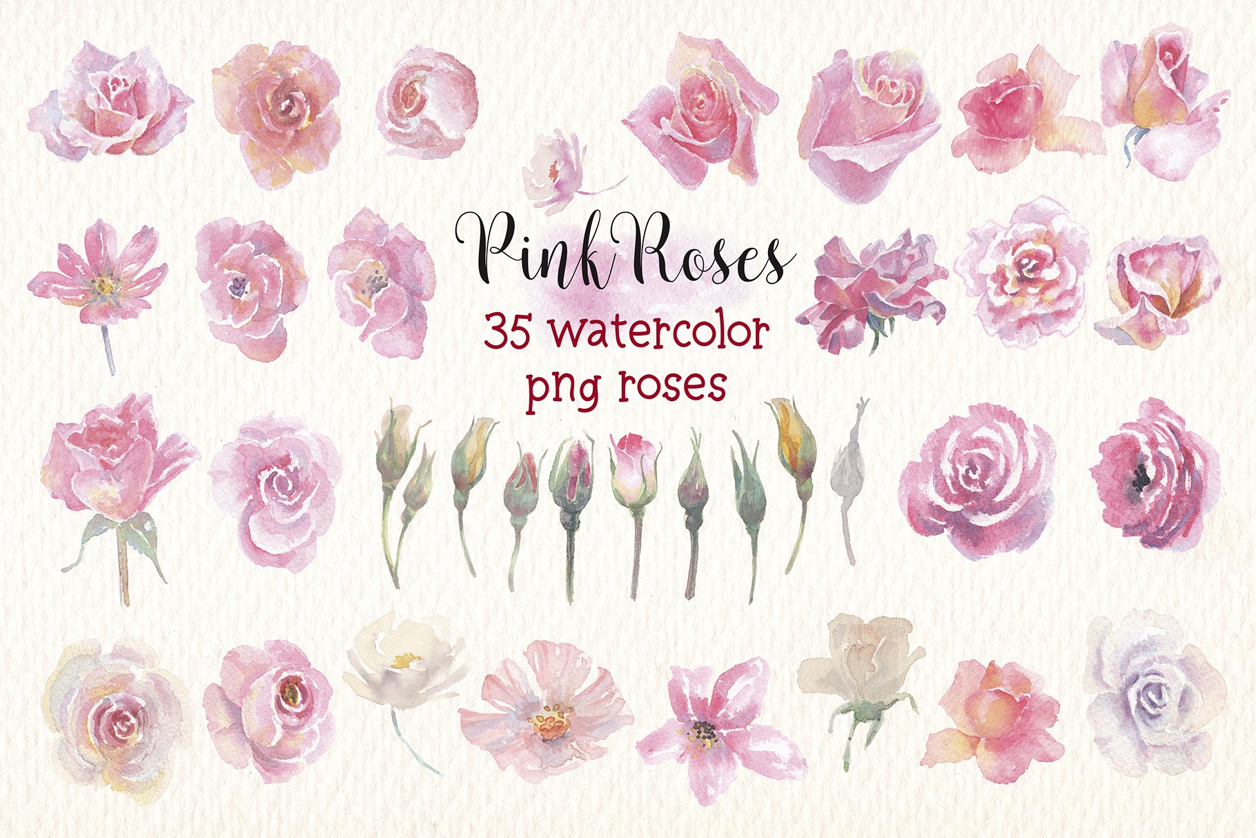 Pink Roses Watercolor Clipart - Design Cuts