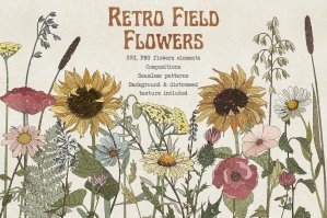 Retro Field Flowers & Sunflowers