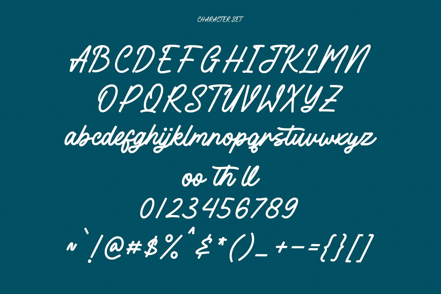 Seelogart Script Font - Design Cuts