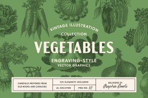 220 Vintage Vegetable Illustrations