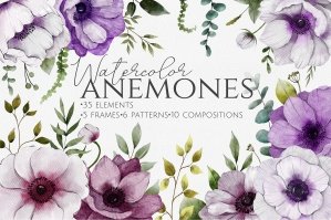 Anemones Watercolor Clipart