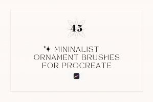 45 Mininalist Ornament Brushes For Procreate