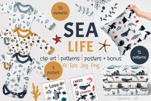 Sea Life Vector Clipart And Pattern