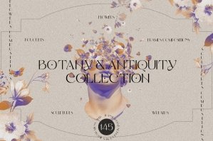 Botany & Antiquity Collection