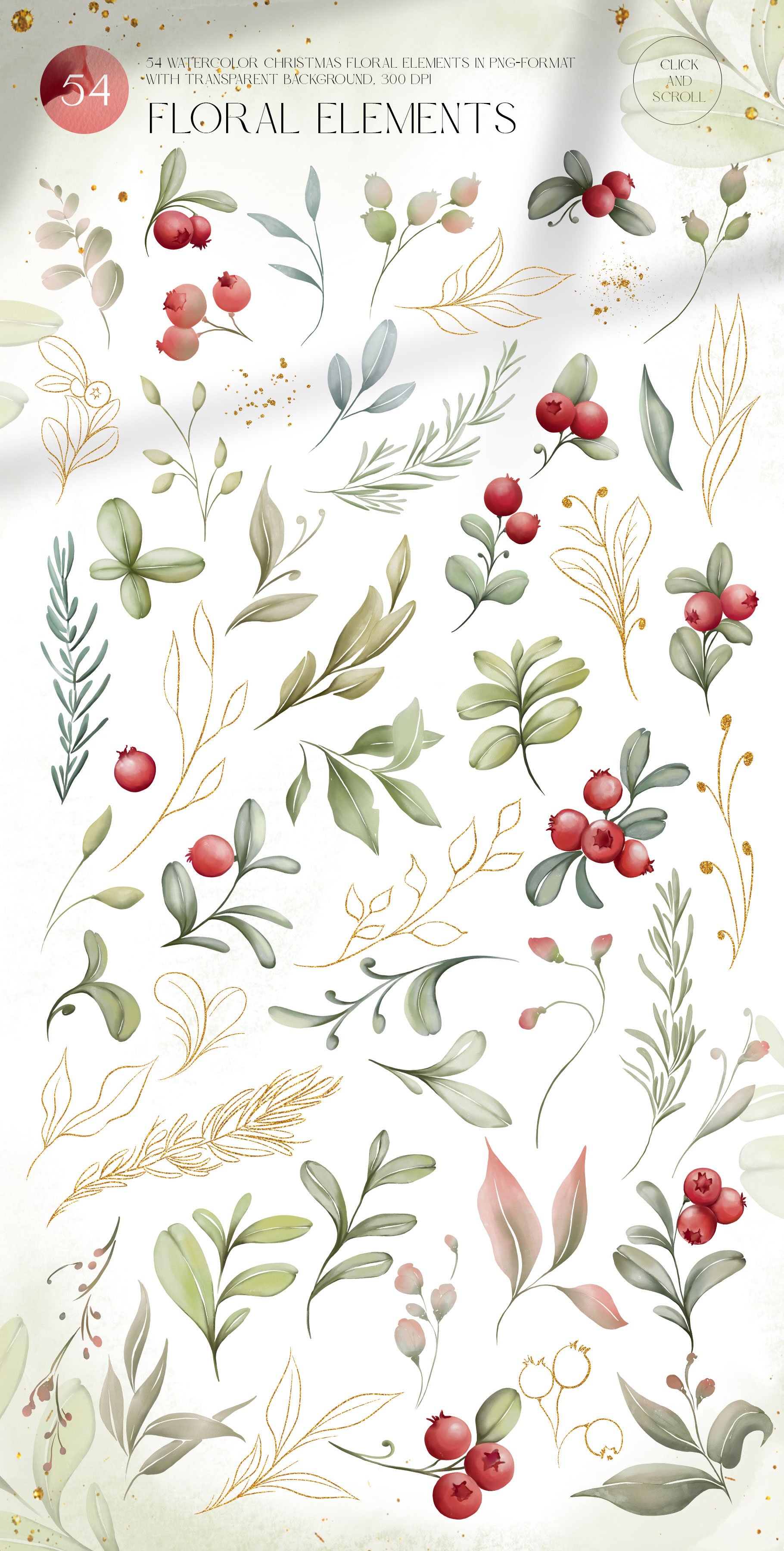 Watercolor Christmas Floral Illustrations Set - Design Cuts