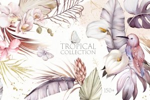 Tropical Mood - Watercolor Collection