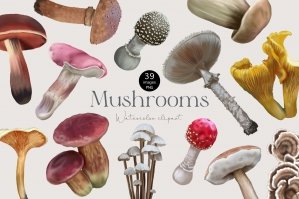 Botanical Watercolor Mushrooms