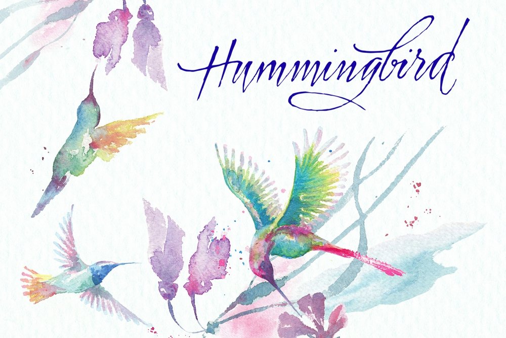 hummingbird flowers clip art