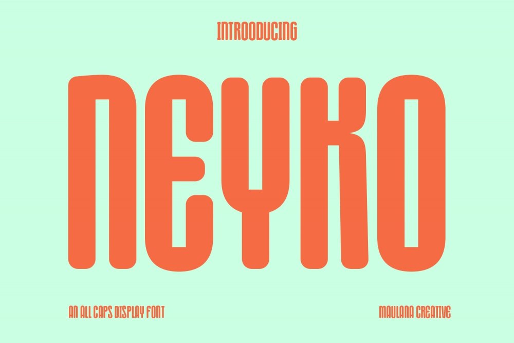 Neyko Sans Serif Display Font - Design Cuts