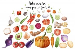 Watercolor Organic Food