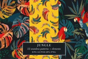 Jungle Patterns & Elements