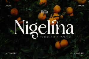 Nigelina - Modern Feminime Serif Font