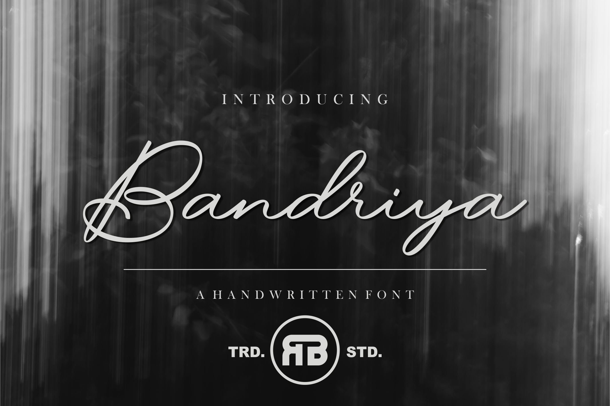 Bandriya - Handwritten Script Font - Design Cuts