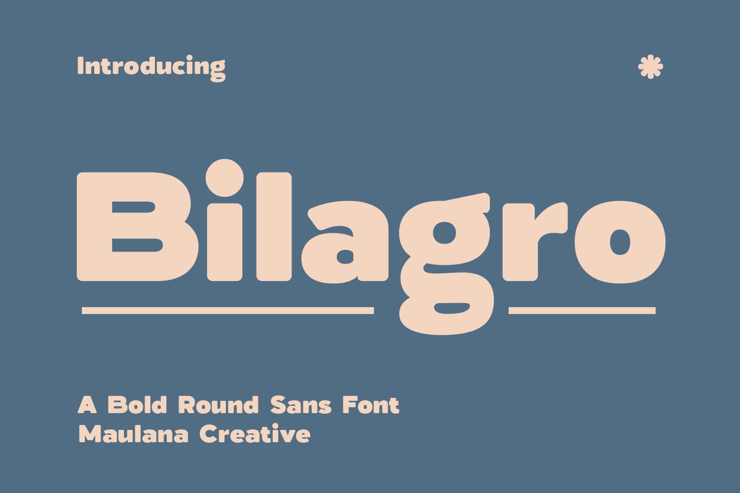 bilagro-bold-round-sans-font-design-cuts