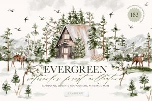 Evergreen Watercolor Forest Collection