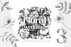 Black And White Floral Wedding Illustration Collection