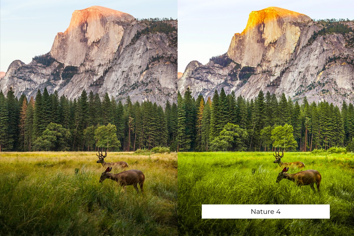 Nature Lightroom Presets - Design Cuts