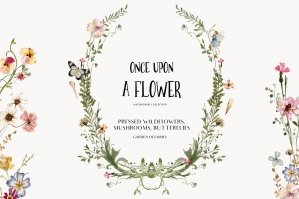 Once Upon A Flower Watercolor Set
