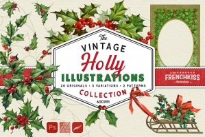 Vintage Holly Illustrations
