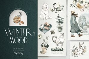 Winter Mood Seasonal Collection