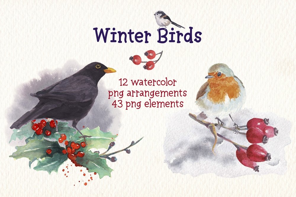 winter birds clipart
