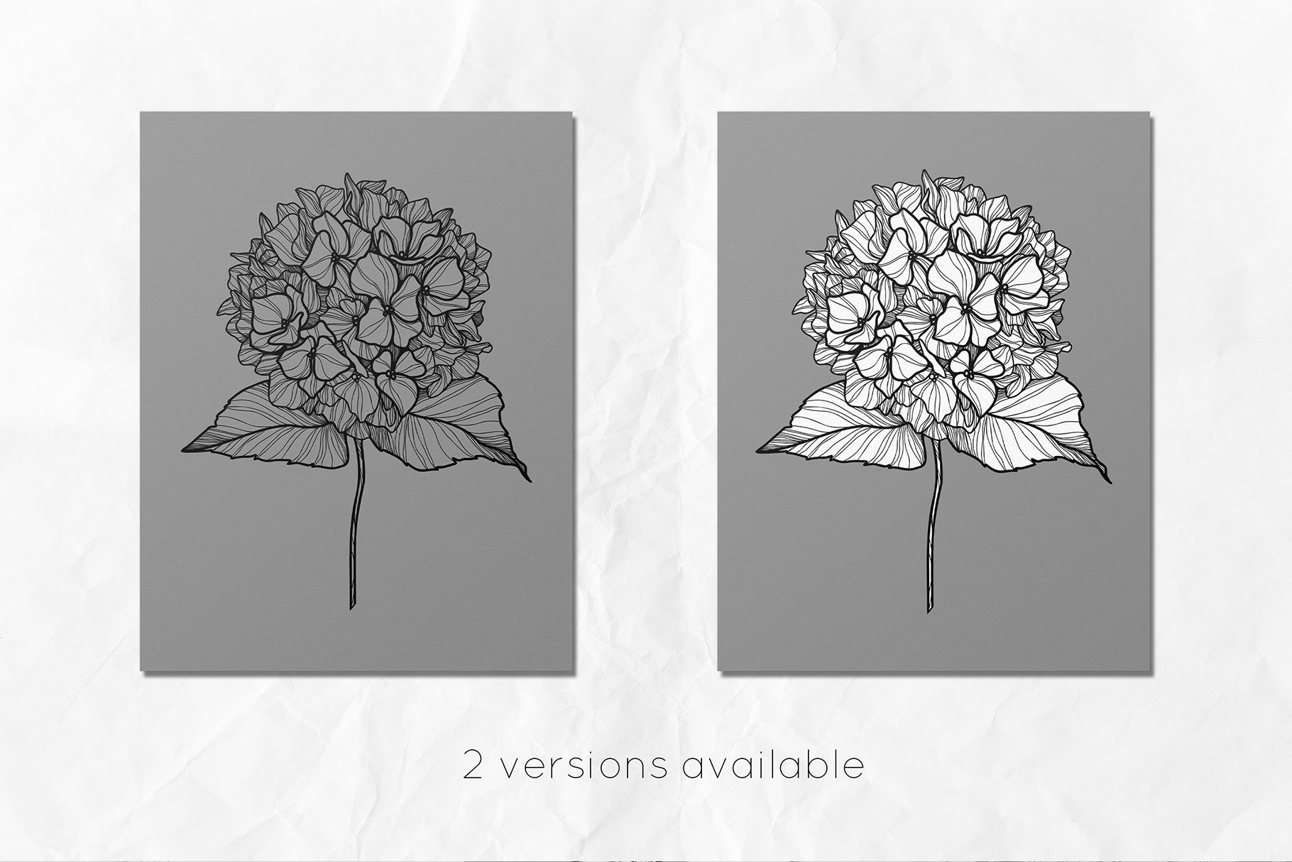 Hydrangea Flowers Line Art Svg Design Cuts