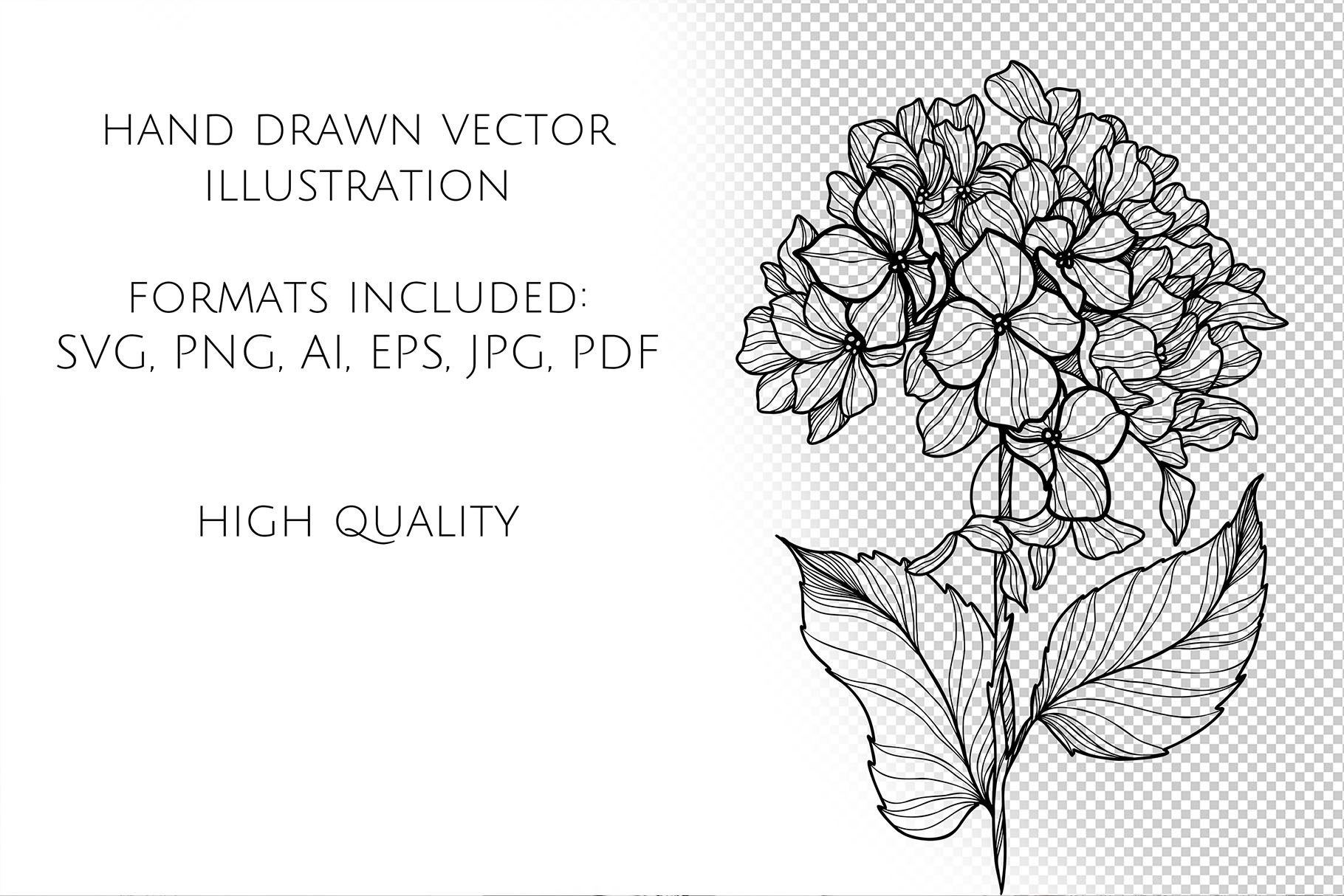 Hydrangea Flowers Line Art Svg Design Cuts