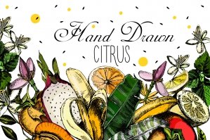 Hand Drawn Citrus Fruits
