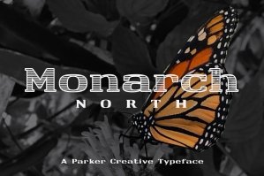 Monarch North - A Line Hatch Serif