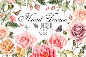 Hand Drawn Watercolor Roses 3