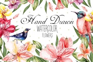 Hand Drawn Watercolor Flowers 6