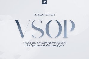 VSOP - Elegant Serif - 70 Fonts