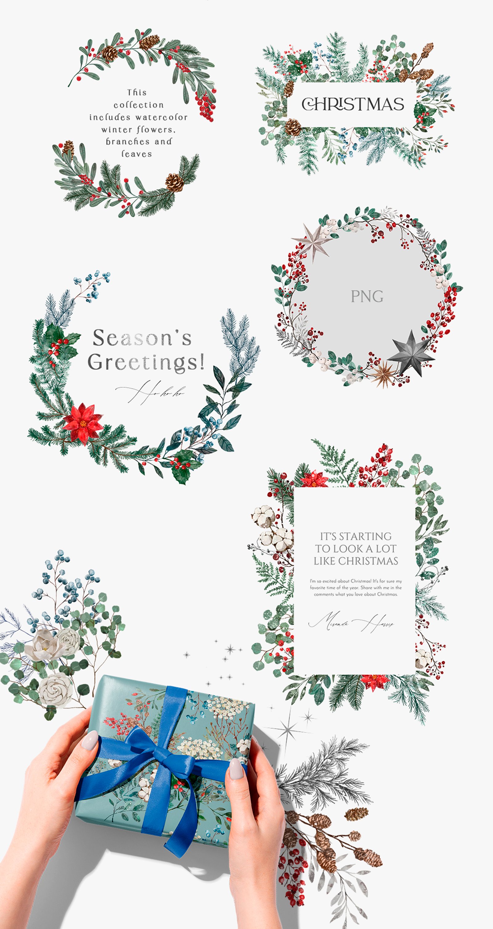 Winter Christmas Greenery Collection - Design Cuts