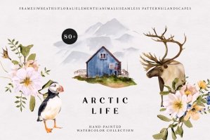 Arctic Life Watercolor Winter Animals Illustrations