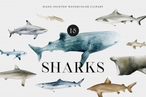 Watercolor Sharks Illustrations - Ocean Animals Clipart Set