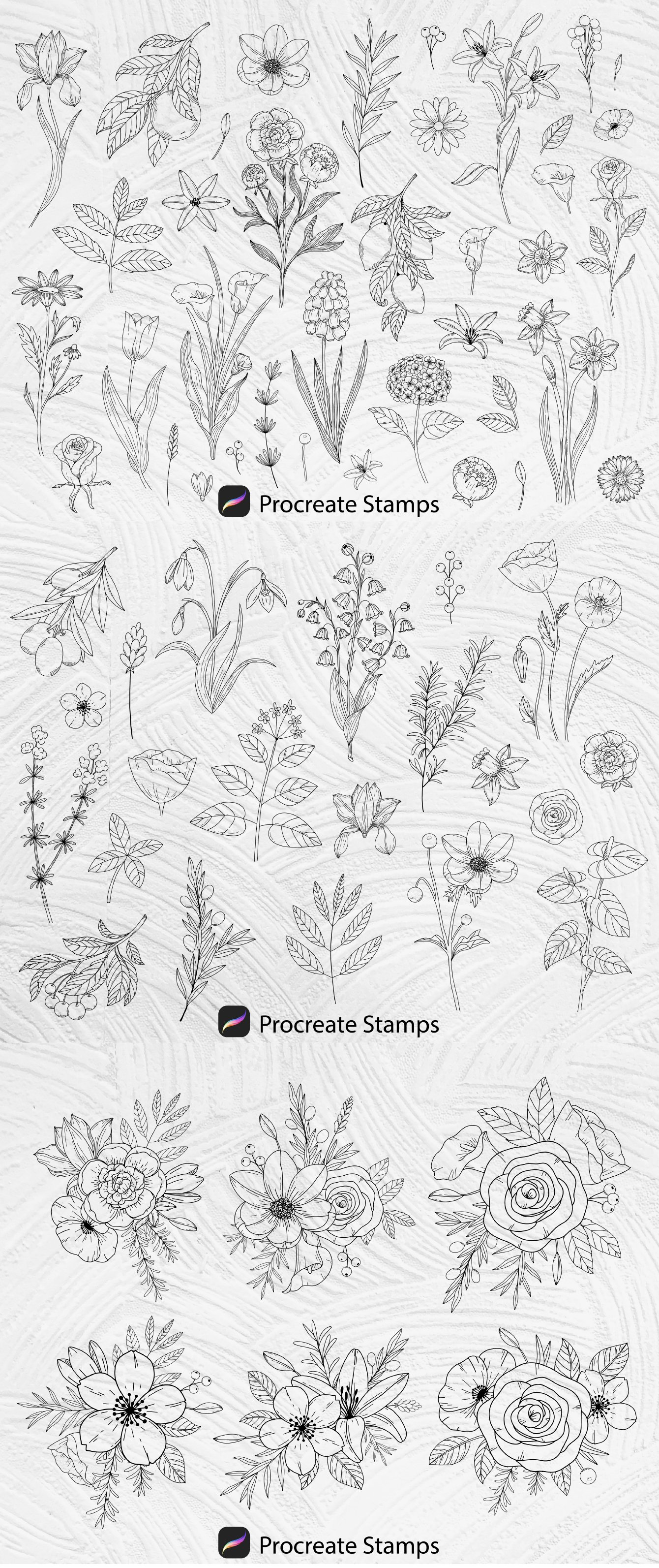 65 Procreate Floral Stamps Brushes - Design Cuts