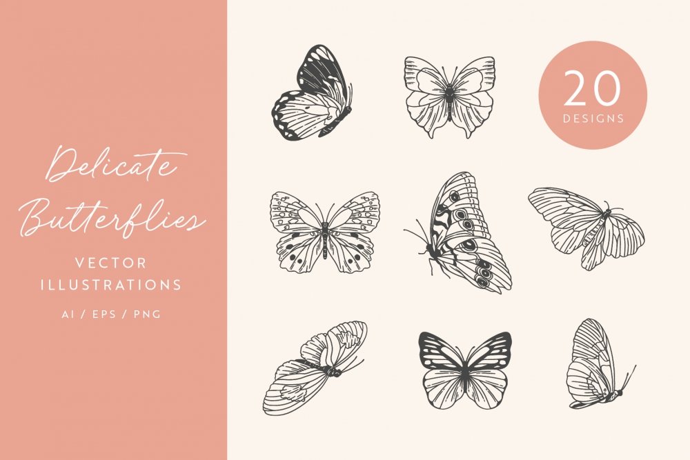 Butterfly Vector Illustrations - Design Cuts