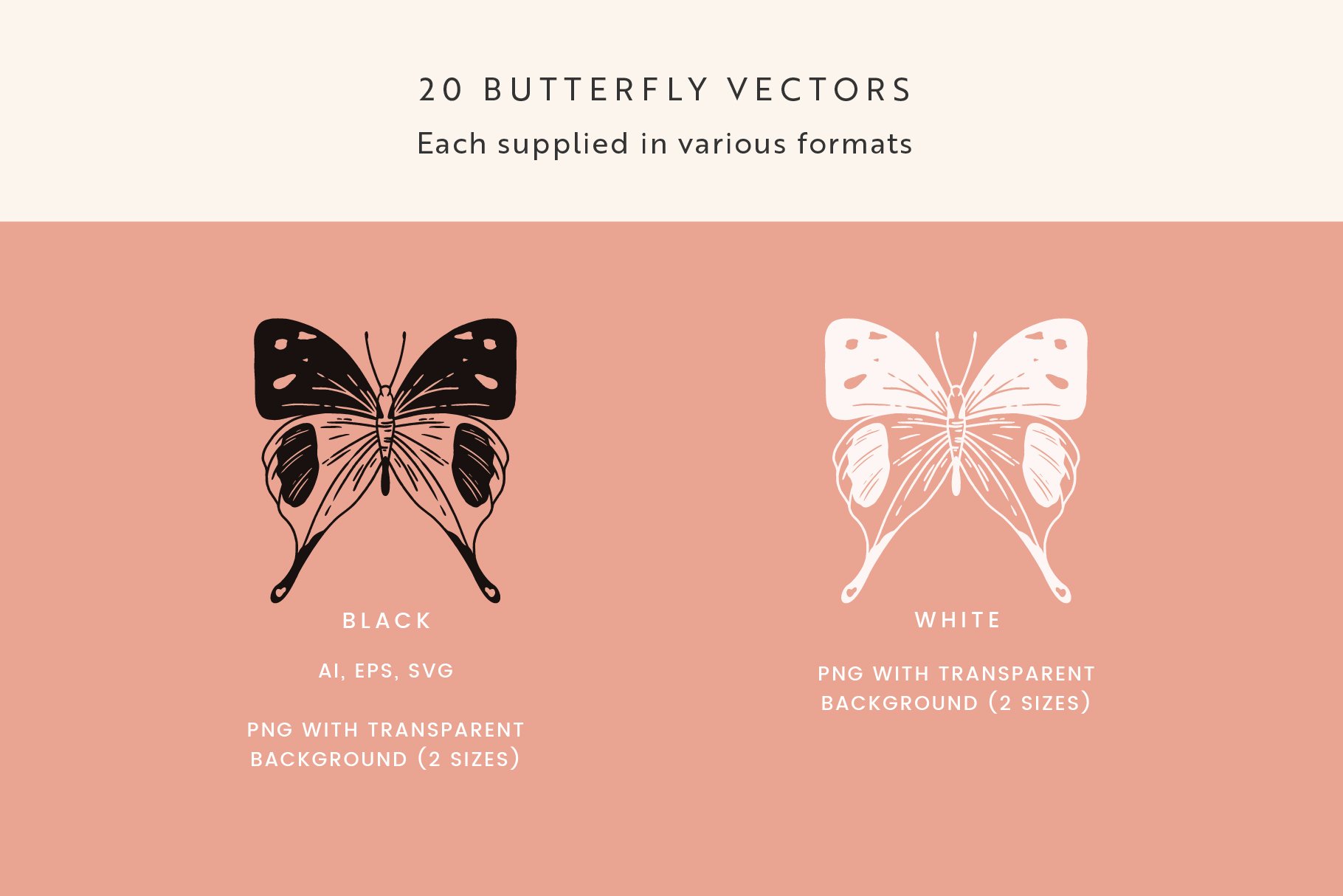 Butterfly Vector Illustrations - Design Cuts