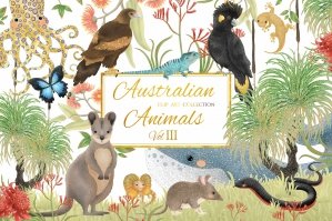 Australian Animals Vol III Clip Art Collection