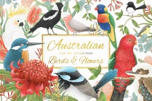 Australian Birds & Flowers Clipart Collection