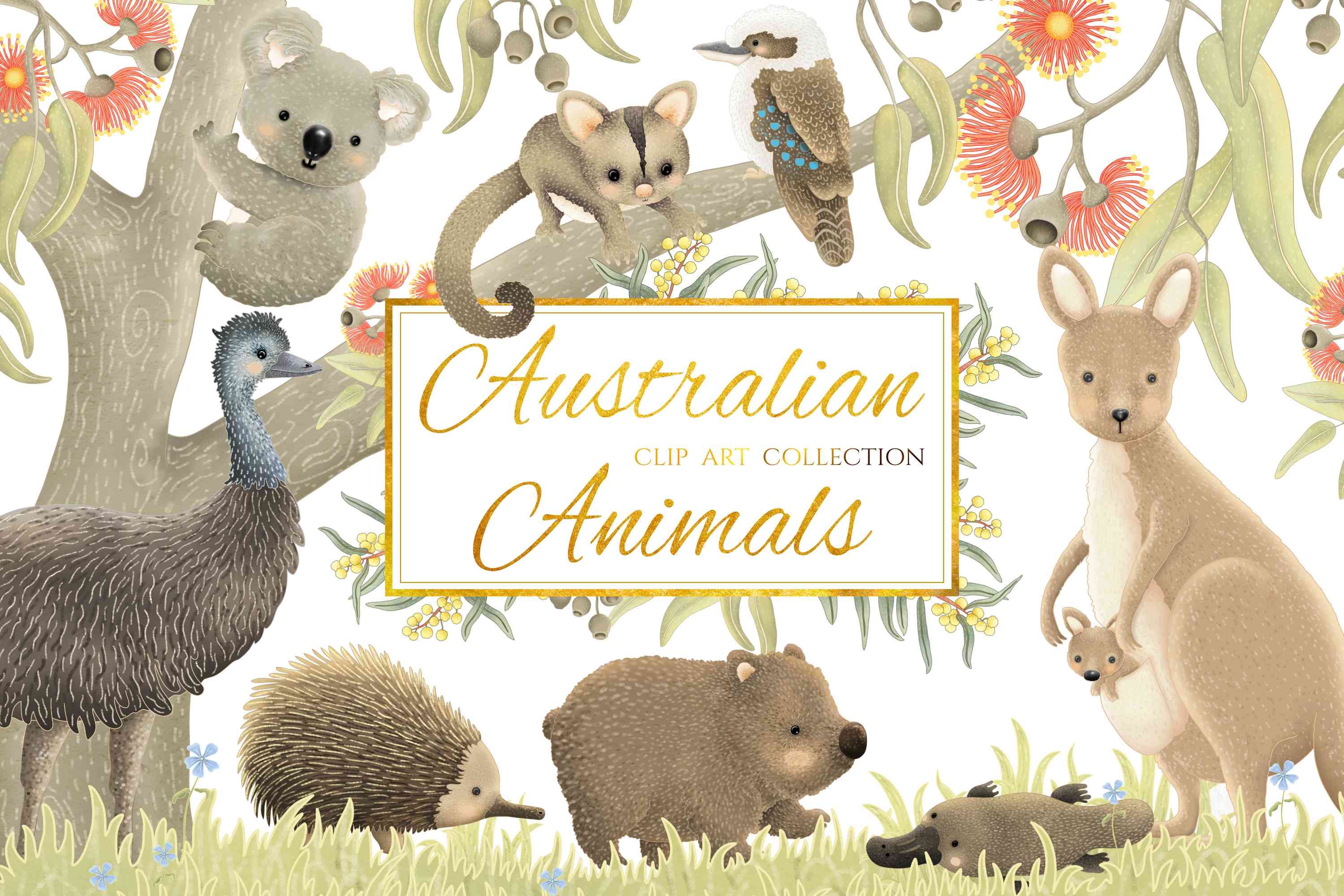 Australian Animals Clip Art Collection - Design Cuts