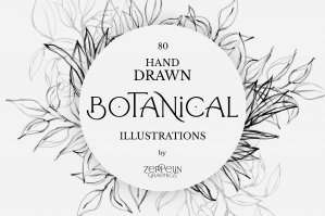 80 Botanical Hand Drawn Illustration