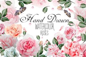 Hand Drawn Watercolor Roses 2