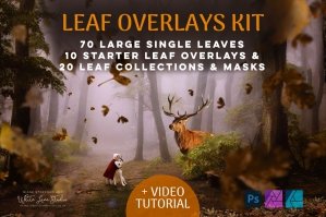 Leaf Overlays Kit & Tutorials Pack